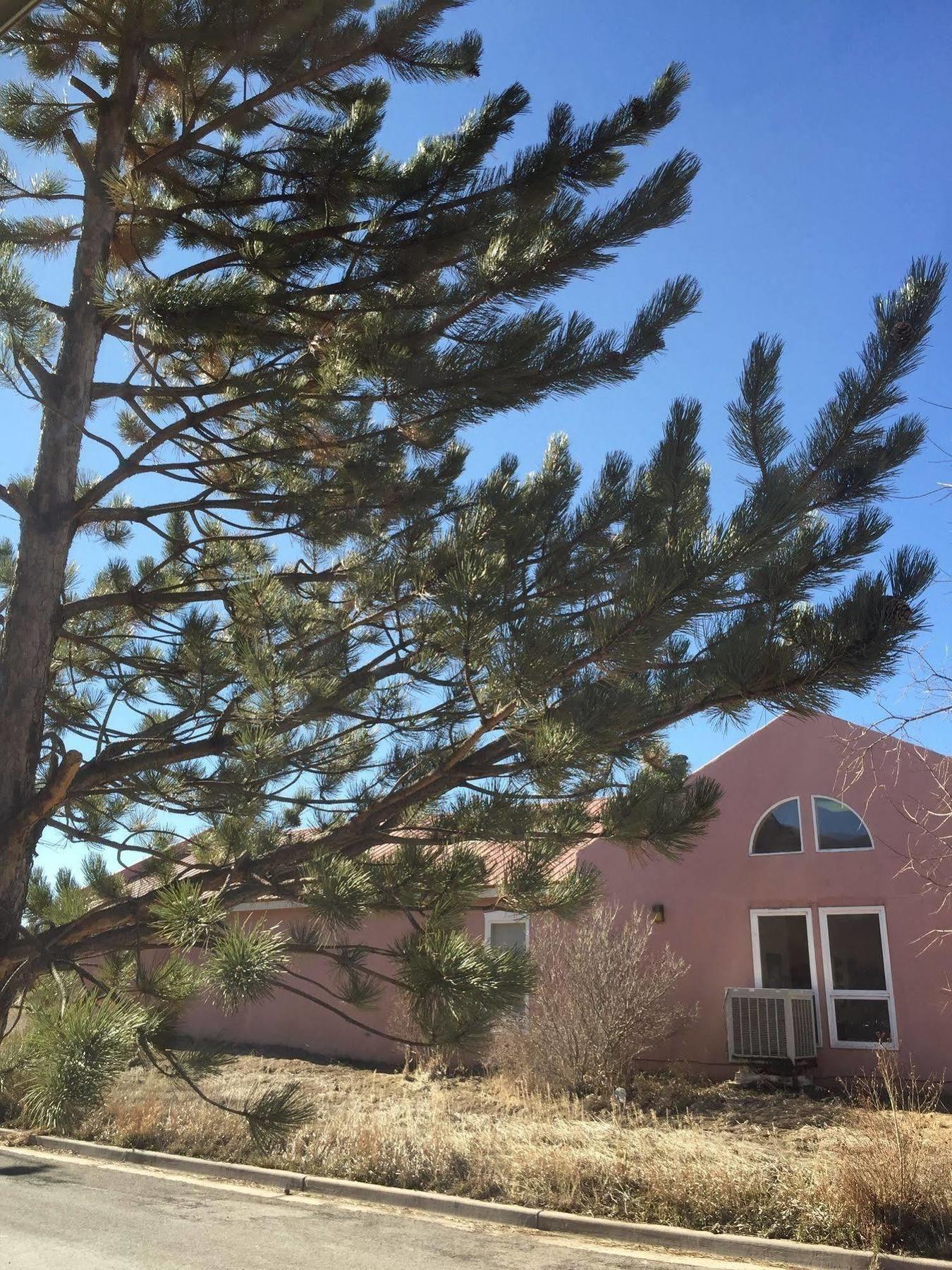 Hampton Inn Taos Eksteriør bilde